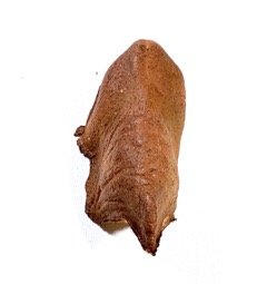 Worf's Prosthetic Foam Nose (1 of 2)