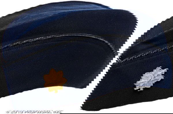 Fraiser's Uniform Garrison Cap: Production Description: Dress uniform garrison cap worn by actress Teryl Rothery as "Janet Fraiser" in Stargate SG-1. Rothery was Stargate Command's chief medical officer for nearly seven years until