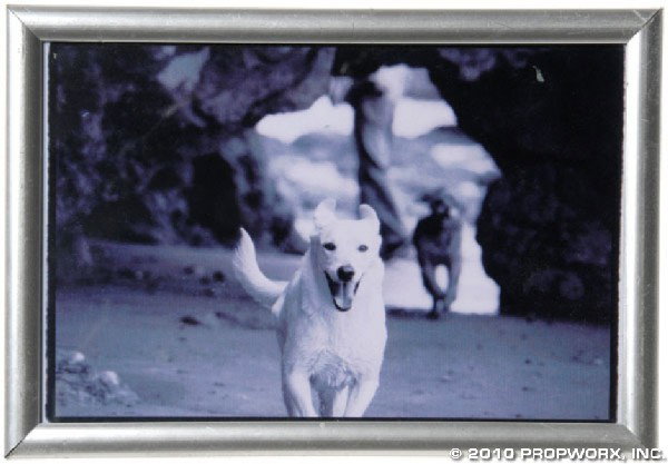 Weir's Photo of Sedgewick: Production Description: A photograph of Sedgewick, Dr. Elizabeth Weir's dog, used as set dressing for her office in Stargate Atlantis. Sedge is the real-life pet of actress Torri Higginson, who rescue