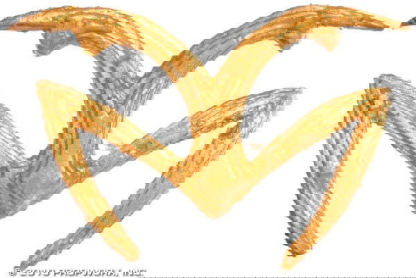 Trelak's Ares First Prime Tattoo: Production Description: Tattoo worn by actor and television show host Wayne Brady as "Trelak", the First Prime of Ares, in the Stargate SG-1 Season Eight episode, "It's Good to Be King". Trelak arrive