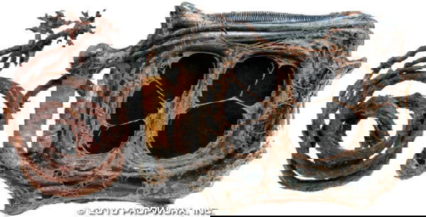 Wraith Data Tablet and Tentacles: Production Description: Wraith data tablet and tentacles used by the Wraith/human hybrid Michael and his team in multiple episodes of Stargate Atlantis, particularly the Season Five opener, "Search an