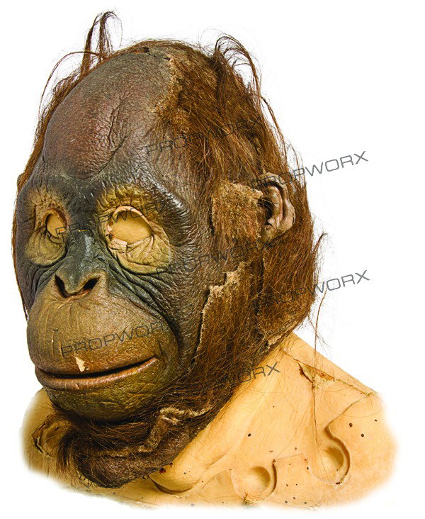 Suzanne the Orangutan Mask: Production Description: Mask worn by a small human actor to double as Suzanne the Orangutan in the film "Jay and Silent Bob Strike Back." This mask was worn when a shot was required and TANGO the Oran