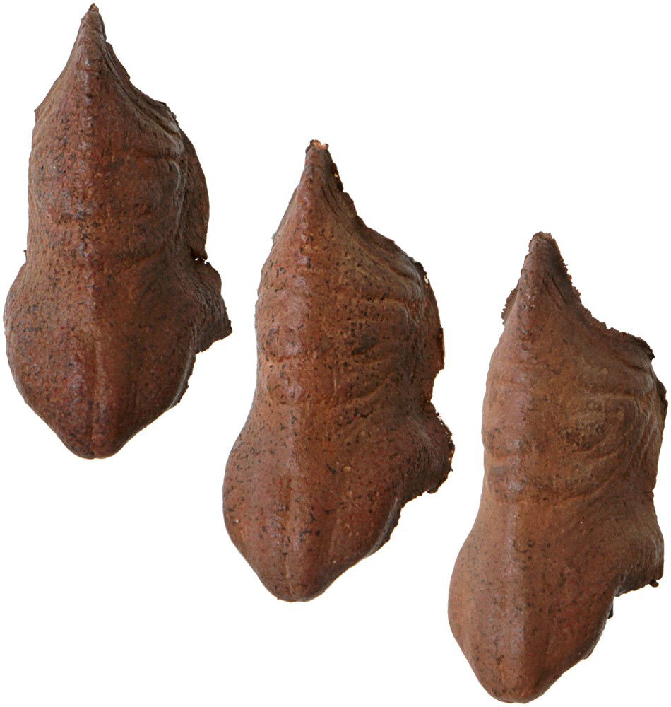 Star Trek: The Next Generation Set of Three Worf N: Production Description: These nose appliance's were worn by actor Michael Dorn as the character Worf In Star Trek: The Next Generation and Deep Space Nine. The rigid larger nose is a characteristic o