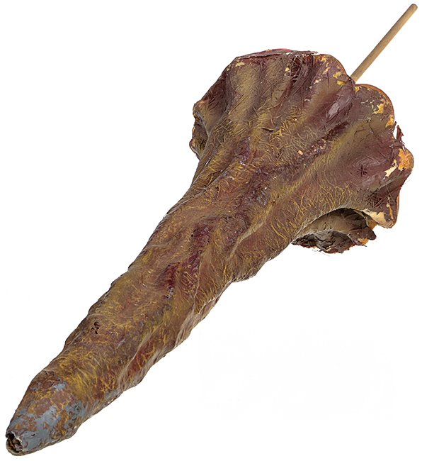 Star Trek: Voyager "Macrocosm" SFX Alien Limb: An alien limb featured in the Star Trek: Voyager episode "Macrocosm". When viruses grow to a meter in length and begin attacking the crew of Voyager, Captain Janeway and The Doctor must retake the shi