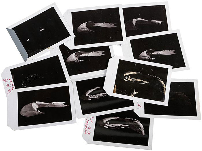 Star Trek: The Next Generation Romulan & Ferengi (1 of 1)