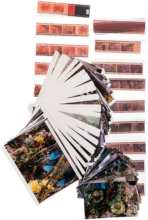 Star Trek Alien Planet Production Material (1 of 1)