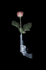 Magnum & Rose by Nick Veasey Original Artwork