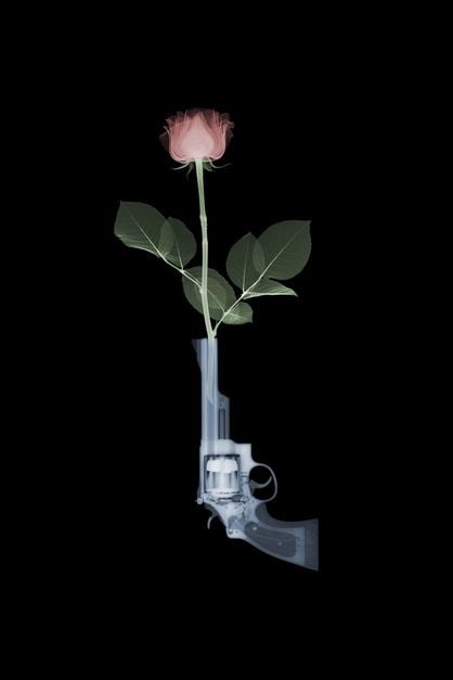 Magnum & Rose by Nick Veasey Original Artwork (1 of 1)