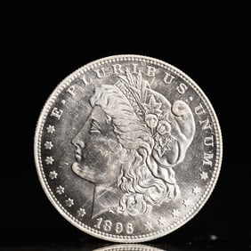 USA Morgan Dollar 1896 Coin