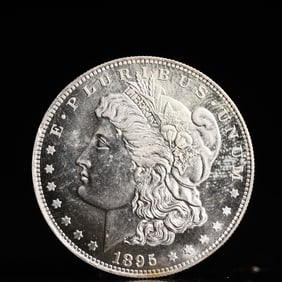 USA Morgan Dollar 1895 Coin