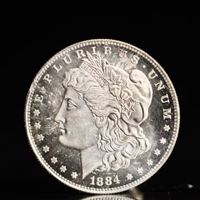 USA Morgan Dollar 1884 Coin