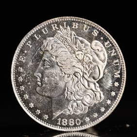 USA Morgan Dollar 1880 Coin