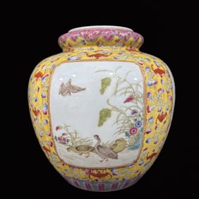 An Exquisite Famille-Rose Flower and Bird Pattern Jar