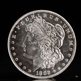 USA Morgan Dollar 1882 Coin
