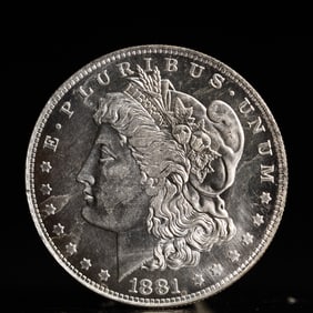 USA Morgan Dollar 1881 Coin