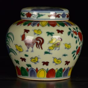 An Exquisite Doucai Flower and Bird Pattern Jar