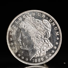 USA Morgan Dollar 1886 Coin
