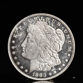 USA Morgan Dollar 1883 Coin