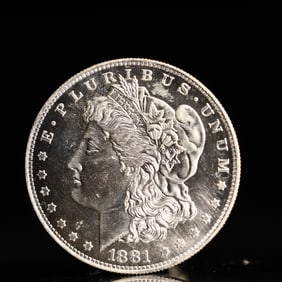 USA Morgan Dollar 1881 Coin