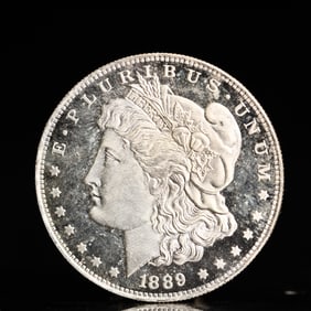 USA Morgan Dollar 1889 Coin