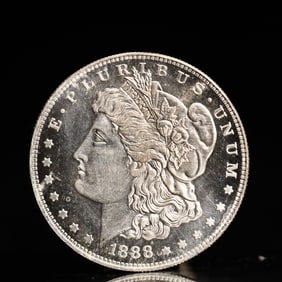 USA Morgan Dollar 1888 Coin