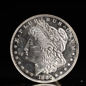 USA Morgan Dollar 1880 Coin