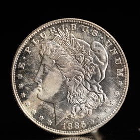 USA Morgan Dollar 1885 Coin