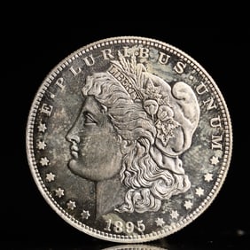 USA Morgan Dollar 1895 Coin