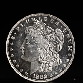 USA Morgan Dollar 1882 Coin