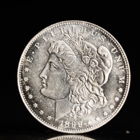 USA Morgan Dollar 1899 Coin