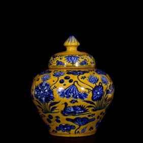 An Exquisite Blue and White Flower and Mandarin Duck Pattern with Cover Jar