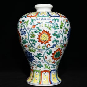 A Rare Blue and White Wucai Lotus Pattern Vase