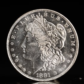 USA Morgan Dollar 1881 Coin