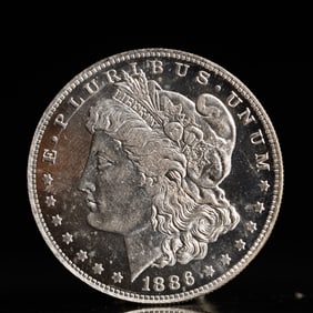 USA Morgan Dollar 1886 Coin