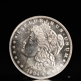 USA Morgan Dollar 1904 Coin