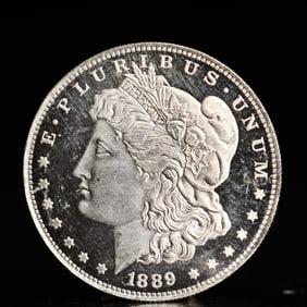 USA Morgan Dollar 1889 Coin