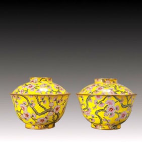 A Pair of Exquisite Painted Enamel Plum Blossom Pattern Cover Bowls