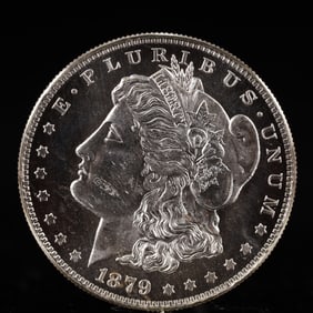 USA Morgan Dollar 1879 Coin