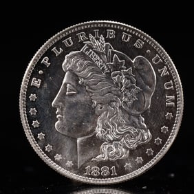 USA Morgan Dollar 1881 Coin