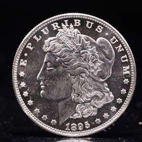 USA Morgan Dollar 1895 Coin