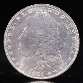 USA Morgan Dollar 1901 Coin