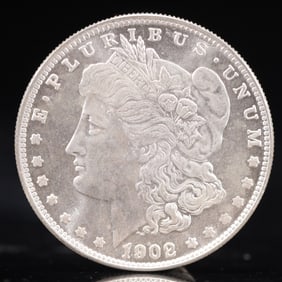 USA Morgan Dollar 1902 Coin