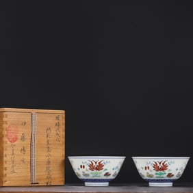 A Pair of Exquisite Blue and White Doucai Flower and Bird Pattern Bowls