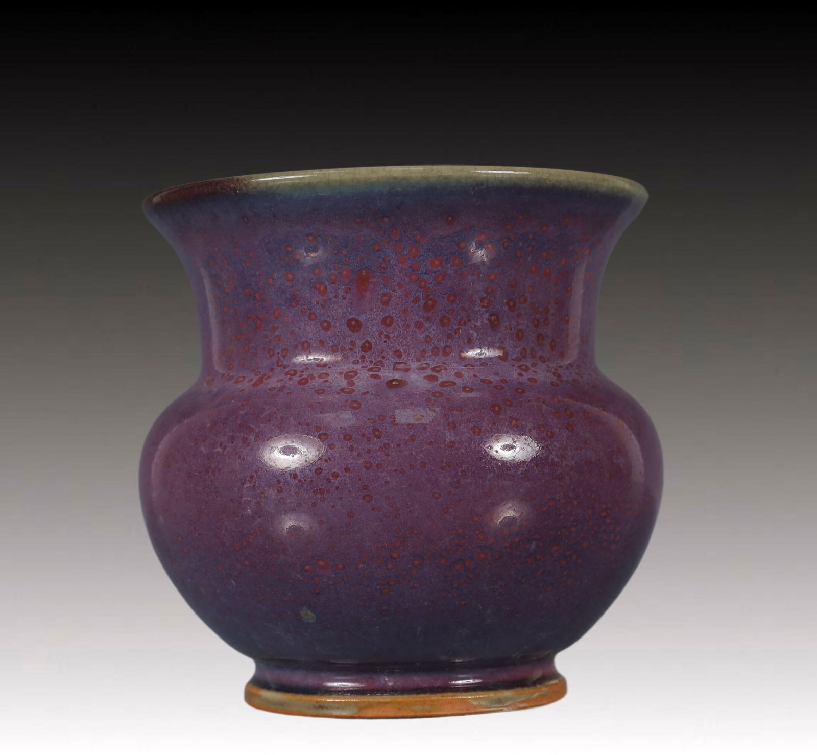 An Exquisite Jun yao Vase - 4