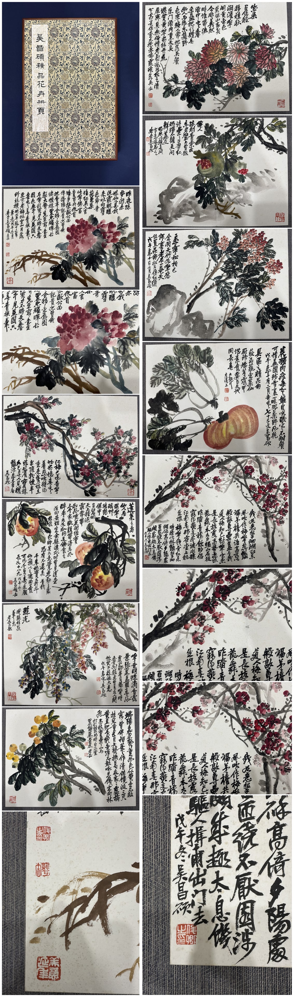 A Chinese Album Ink Painting of Flower on Paper: A Chinese Album Ink Painting of Flower on Paper,Wu Changshuo,Size:16.5inx22in*10 一本中国水墨花卉画册,吴昌硕