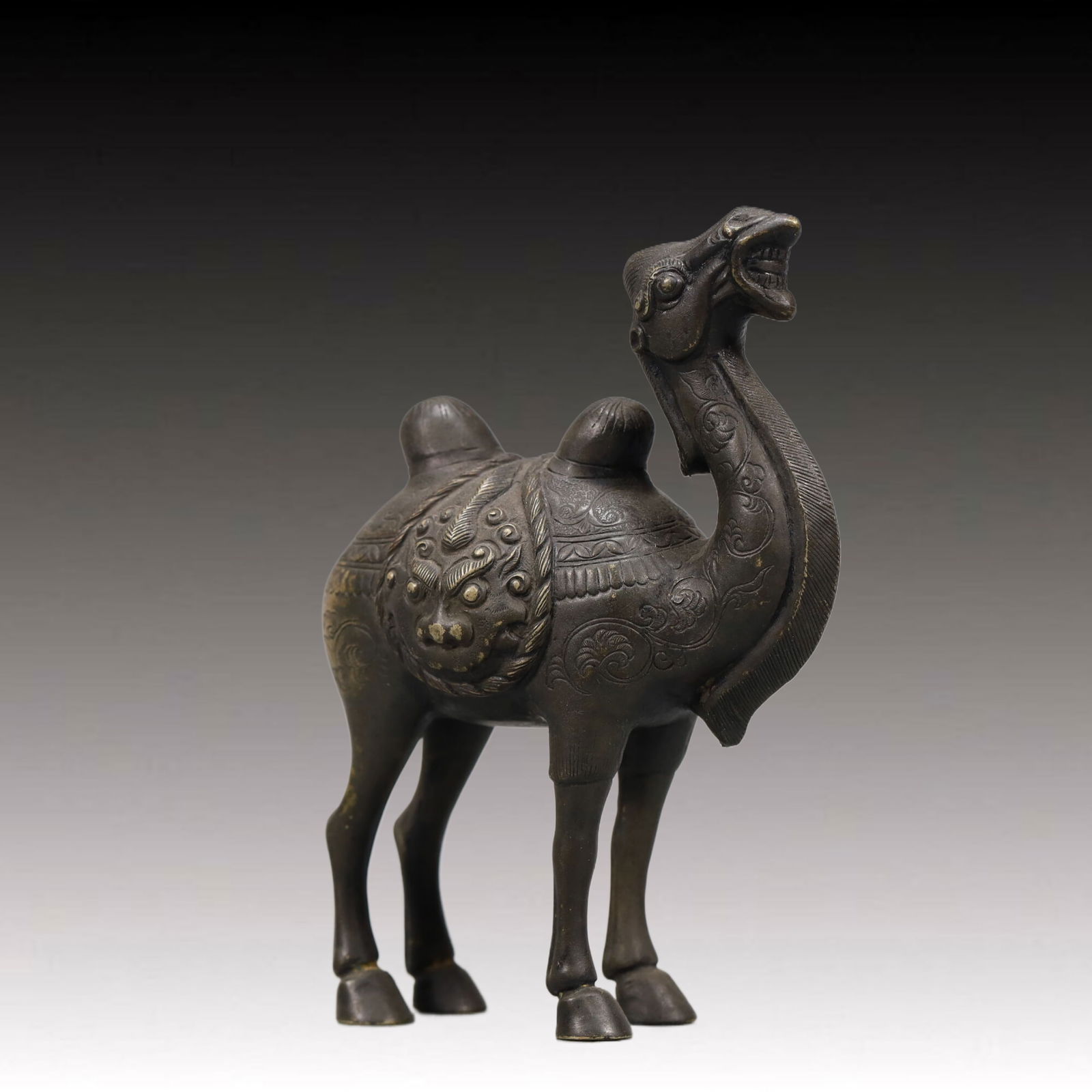 A Wonderful Silver Camel - 2