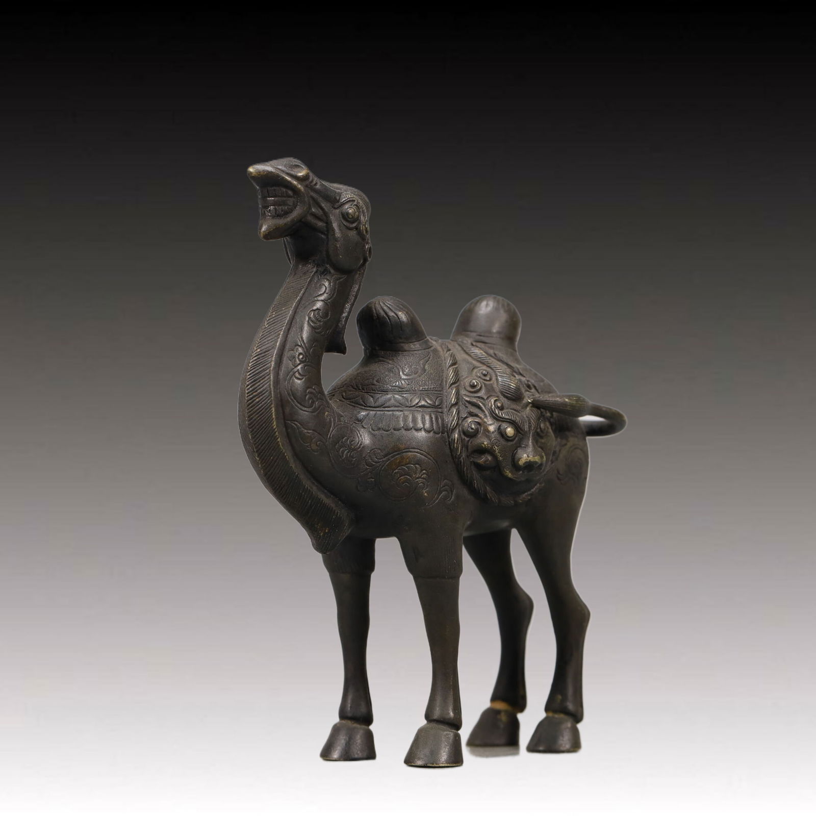 A Wonderful Silver Camel - 3