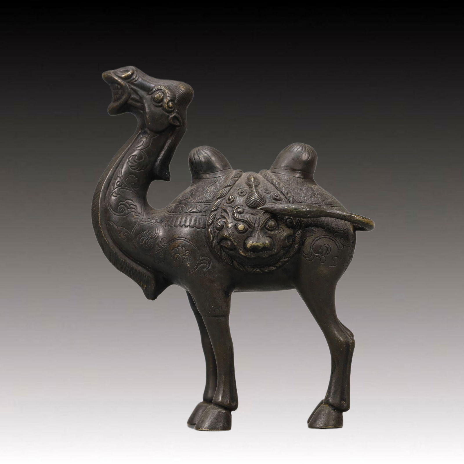 A Wonderful Silver Camel - 4