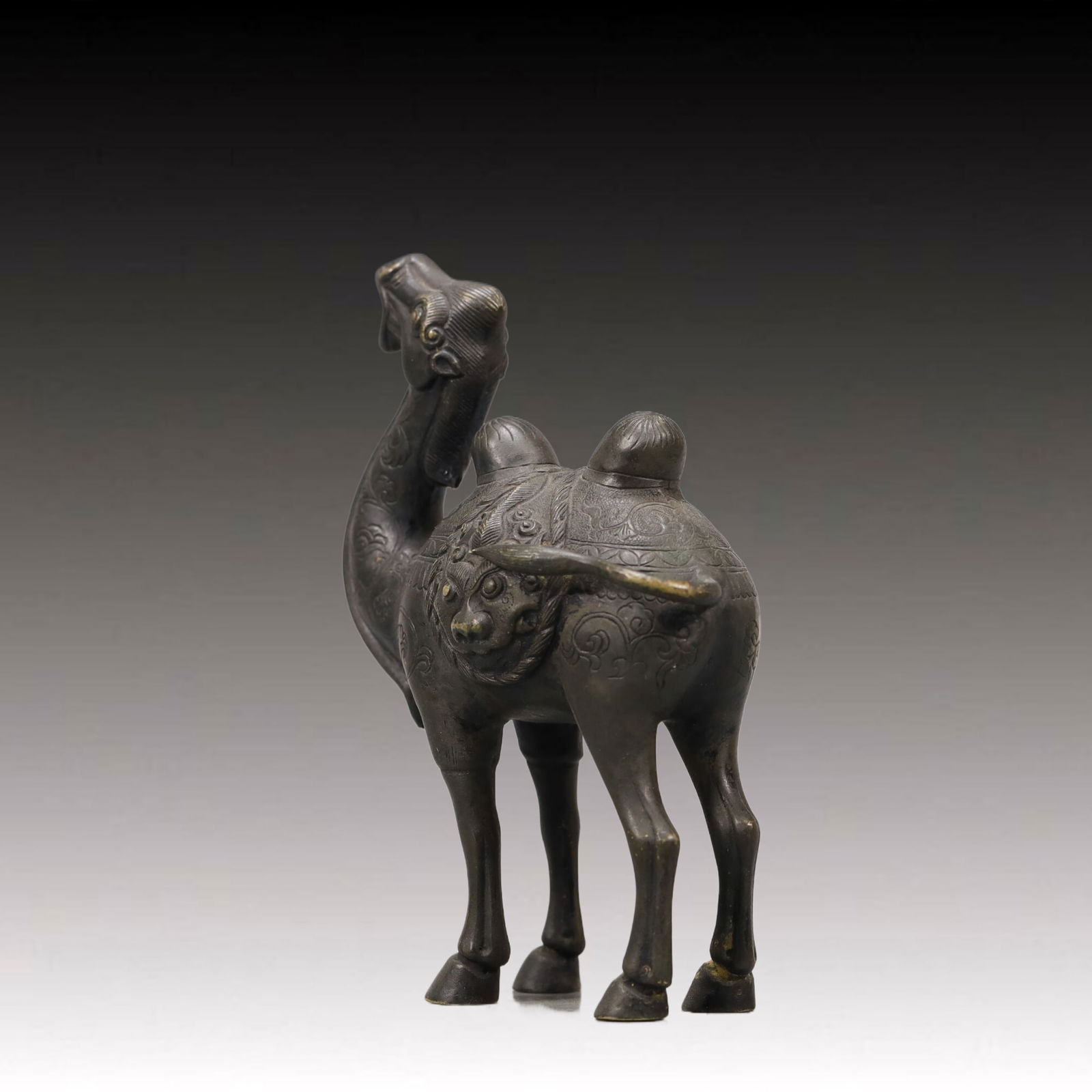 A Wonderful Silver Camel - 5