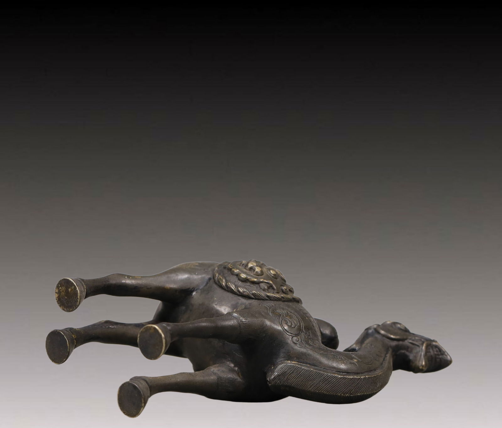 A Wonderful Silver Camel - 7